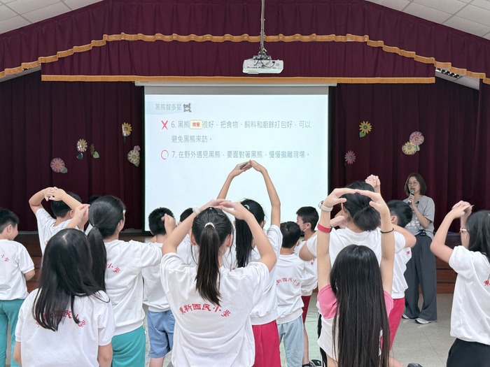 熊熊說故事|與台灣黑熊711的相遇圖片